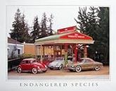 Endangered Species Volkswagen-VW Classics Wall Decor Art Print Poster (16x20)