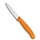 Victorinox, Swiss Classic Kitchen Knife/ PARING Knife/ Vegetable Knife 8 cm, Straight Edge- Orange Colour.