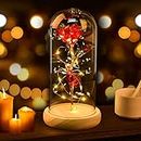 Beauty and The Beast Rose, Enchanted Rose Glass Rose Forever Rose Flower Lamp, Elegant Crystal Dome with Pine Base LED Lights, for Christmas, Valentine's Day, Birthday, Wedding Party Decor(Red)