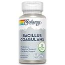 Solaray Bacillus Coagulans, 60 Caps