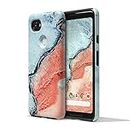 Google Cell Phone Case for Pixel 2 - Earth - River - T