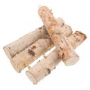 4 pz tronchi di betulla rami di betulla naturale tronco di betulla naturale per materiale artigianale