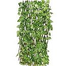 SOFIX Plastic Artificial Plant Trellis With Ivy Leaves(1 Pieces)I Expandable Garden Fence I Uv Coated I Garden Decoration Outdoor Indoor(Green,1 Piece Is 4 Feet X 1 Feet,Expands To 9 Feet X 1.6 Feet