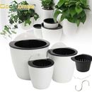 7pc Automatic Water Absorbing Hydroponic Plastic Home Wall Mounted Potted Garde