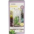 Cactus & Succulent Terrarium Grow Kit by Unique Gardener - DIY Indoor Hanging or Standing Garden Starter Set - Easy to Grow!