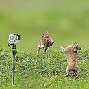 Support universel pour caméra de chasse - Longueur réglable - Inclinaison réglable de 1/4 à 20 - Compatible avec caméra de scoutisme, de chasse et caméra d'action GoPro