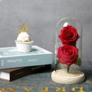 Beauty and the Beast Rose Glass Dome on Wooden Base for Christmas,anniversary