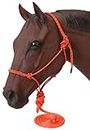 Tough 1 Poly Rope Tied Halter with Lead, Orange