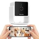 Petcube Cam | Videocamera di Sicurezza Wi-Fi Indoor per Gatti e Cani con App Mobile, Monitoraggio Audio e Video, Visione Notturna e Avvisi AI
