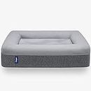 Casper Dog Bed, Plush Memory Foam, Medium, Gray