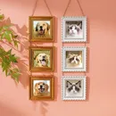 Three Picture Frame Vintage Plastic Picture Frame Poster Showing Picture Frame Pet Photo Gift