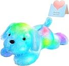 WEWILL 18'' Light up Puppy Stuffed Animal Creative Night Light Lovely LED Dog Glow Soft Plush Toy Gifts for Kids on Christmas Birthday Valentines Festivals, Blue