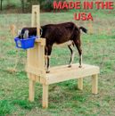 Goat Hoof & Milk Stand for Dwarf and Pygmy Goats 32" Hand-Crafted Natural Pine