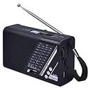 PAGARIA Portable FM/AM/SW Radio with 5 Watts Sound, Bluetooth/USB/TF, Earphone Port & Torch