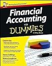Financial Accounting For Dummies (UK Edition)