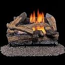 Duluth Forge DLS-18R-1 Dual Fuel Ventless Fireplace Logs Set with Remote Control, Use with Natural Gas or Liquid Propane, 30000 BTU, Heats up to 1000 Sq. Ft, Split Red Oak, 18 Inches