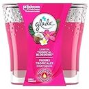 Glade Scented Candle, Exotic Tropical Blossoms, 1-Wick Candle, Air Freshener Infused with Essential Oils for Home Fragrance, 1 Count