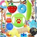 Aipper Dog Puppy Toys 23 Pack, Puppy Chew Toys for Fun and Teeth Cleaning, Dog Squeak Toys,Treat Dispenser Ball, Tug of War Toys, Puppy Teething Toys, Dog Rope Toys Pack for Medium to Small Dogs