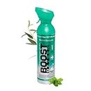 Boost Oxygen - Botella de Oxígeno Portátil - Lata de Oxigeno 95% Puro y Natural - Concentración, Recuperación, Energía, Estado de Ánimo, Grande - 9L (1x Envase - 150 Inhalaciones) - Mentol-Eucalipto