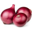 Onion Red Seeds Hybrids F1 Vegetable Seeds for Home Garden for Planting 600Seeds