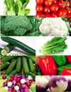 1000+ Heirloom Vegetable Seeds - 10 Variety Garden Pack # 13 Organic -(Non-GMO)