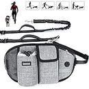 3NH® Outdoor pet Waist Bag with Traction Rope Multi-Functional Sports Running Fitness Training Dog Walking Waist Bag-Gray (Single Package)