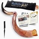 HalleluYAH Original Kosher Fully-Polished Kudu Shofar From Israel | Easy Blowing with Deep Sound | Include Velvet Bag, Clean Brush and Shofar Guide