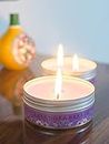 Aura Decor Set of 2 Double Wick Candle Burning Time 25 Hours, Lavender Breeze Net Weight 140 GMS Each