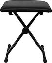 Adjustable X Style Piano Keyboard Heavy Duty Premium Stand/Padded Keyboard Bench (Padded Bench)