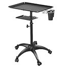 Salon Tray Cart with Storage Platform, Aluminum Tattoo Tray with Wheels Trolley Adjustable Height, Salon Tray Equipment Service Instrument Storage Tray Accessory for Salon & Spa Use, Black