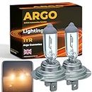 Argo H7 Headlight Bulb 55w Halogen 2500k 12v H7 477 Car Headlight Bulb High Low Dipped Main Beam Headlamp Bright Fog Car Light Bulbs 499 PX26D Headlight Bulbs