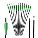 Huntingdoor 12Pcs Crossbow Bolts 20 Inches Carbon Arrows with 4" Plastic Vane Archery Hunting Arrows for Target Practice Crossbow 250lbs max