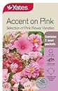 Yates Accents On Pink Flower Seeds, Small