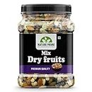 Nature Prime 100% Natural Premium Mix Dry Fruits 500Gm with Almonds | Cashew | Kishmish | Apricot | Black Raisins | Dried Kiwi | Nuts and Dry Fruits 500Gm (Jar pack)