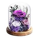 lovenfold Flowers for Delivery Prime Preserved Rose Gifts for Women,Long-Lasting Real Flowers in Glass Dome,Valentine Day Mothers Day Birthday Gifts for Women Mom Friend(Purple Rose)