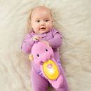 Fisher-Price Soothe & Glow Musical Seahorse Pink Toy NEW