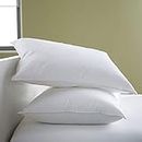 AVI Microfiber Pillow, 20 Inch X 36 Inch, White, 2 Pieces