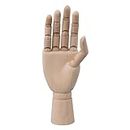 BQLZR 8 Inch Body Artist Model Articulated Mannequin Wooden Right Hand Manikin for Art Drawing