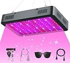 LUYIMIN 2000W LED Grow Light, Full Spectrum Plant Light with Daisy Chain, Grow Lights for Indoor Plants Greenhouse Hydroponic Growing Lamps with Veg Bloom Switch Coverage 5x5ft