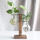 Glass Planter Bulb Vase, Desktop Air Plant Terrarium Kit with Retro Solid Wooden Stand, Plant Propagation Stations Terrarium for Indoor Water Plants Home Garden Office Decoration Accessories
