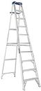 Louisville Ladder AS2110 Foot Step Ladder, 10-Feet, Silver, Ft