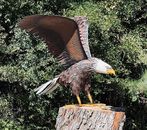 American Bald Eagle Large Outdoor Metal Statue Lawn Sculpture Garden Yard Decor
