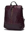 VISMIINTREND Casual Anti Theft Leather Backpack Handbag for Women and Girls | Fits 13.5 Inch Laptop | Travel | College | Casual | Office | Work | Gifts for Sisters (Wine)