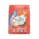 Purina Beyond Natural Wholesome Ingredients for Whole Health Dry Cat Food Salmon and Whole Brown Rice Recipe - 6 lb. Bag