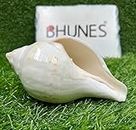 Bhunes Natural Left Hand Non-Blowing Shankh, Conch Shell,White, 5 Inch, 1 Piece