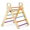 BlueWood Flodable Triangle Ladder Climbing Toy for Toddlers, Montessori Toy Indoor Playground Climbing Gym for Toddlers Kids Triangle Climbing Toys Learning Toys for Pre-Kids