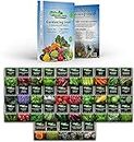 Vegetable Seeds - Set of 35 Assorted Non-GMO Vegetables & Herb Seedlings - Starter Variety Mix for Indoor & Outdoor Gardening