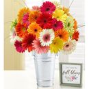 1-800-Flowers Flower Delivery Happy Gerbera Daisies 24 Stems 24 Stems W/ French Flower Pail & Sign | Same Day Delivery Available