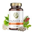Bestme Lab Pandora | Nootrópico 100% Natural Fórmula Original 9 en 1 + Concentración + Memoria + Energía | Melena de León, Ginkgo Biloba, Bacopa Monnieri, Cafeína, L-Teanina, Vitaminas B12 B6 B2