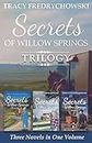 Secrets of Willow Springs Trilogy: Amish Mystery Series - Three Novels in One Volume
